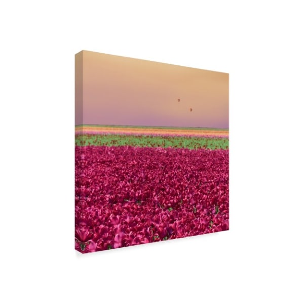 Cora Niele 'Carmine Tulip Field' Canvas Art,35x35